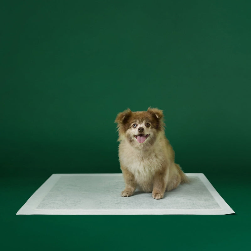 Disposable Dog Pee Pads with AbsorbShield+ Technology O8